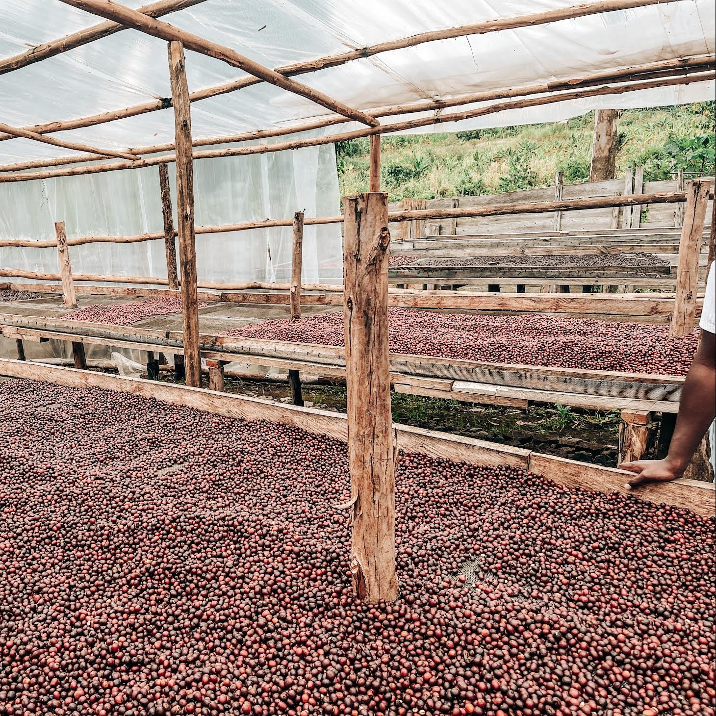 Kwezi Natural | Uganda