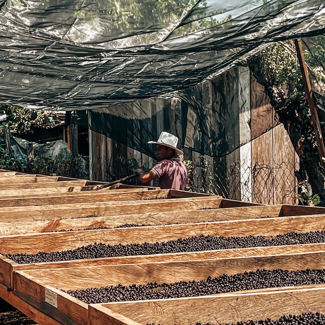 Marco Romero | Mexico