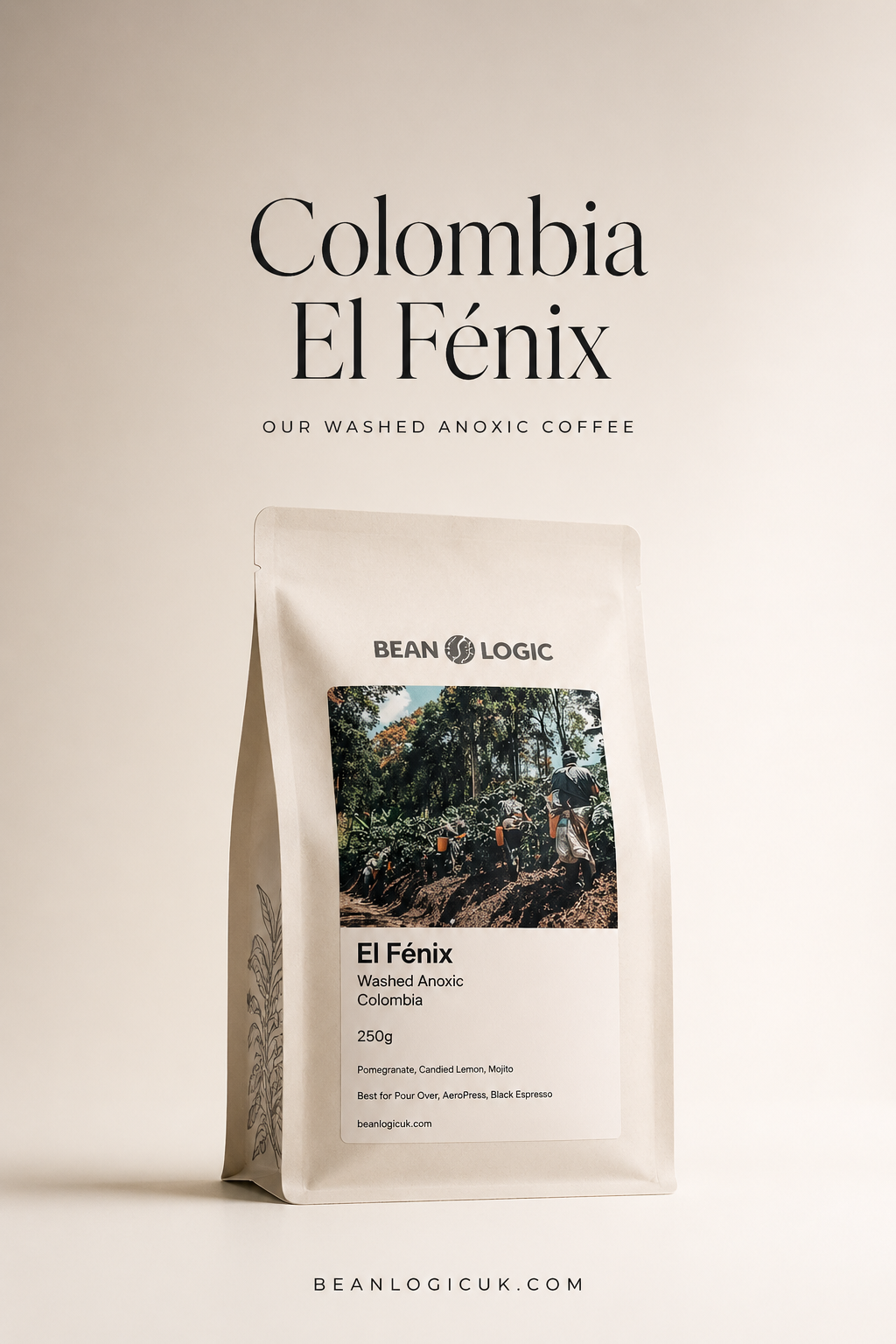 El Fénix Tabi Colombia coffee bag