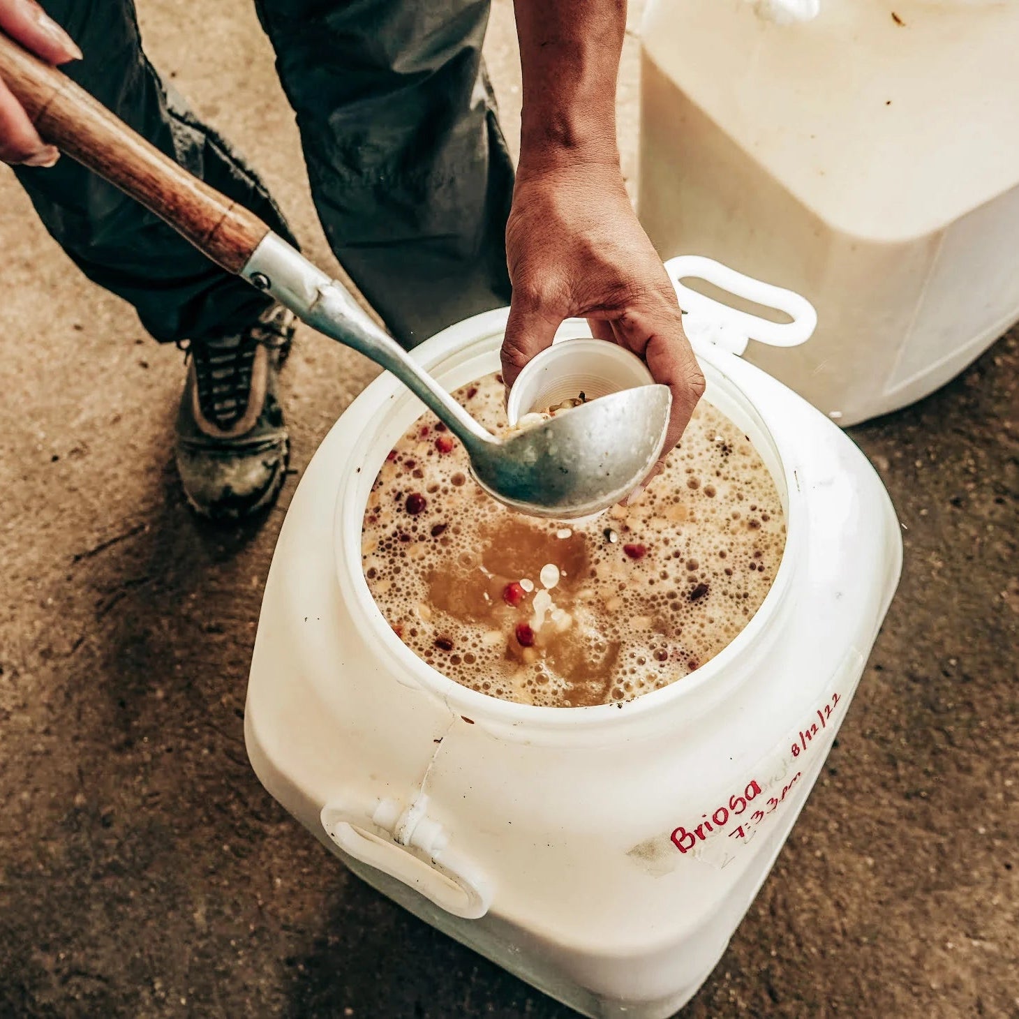 Person scooping a liquid from a white container labeled 'Brewed' with a spoon.