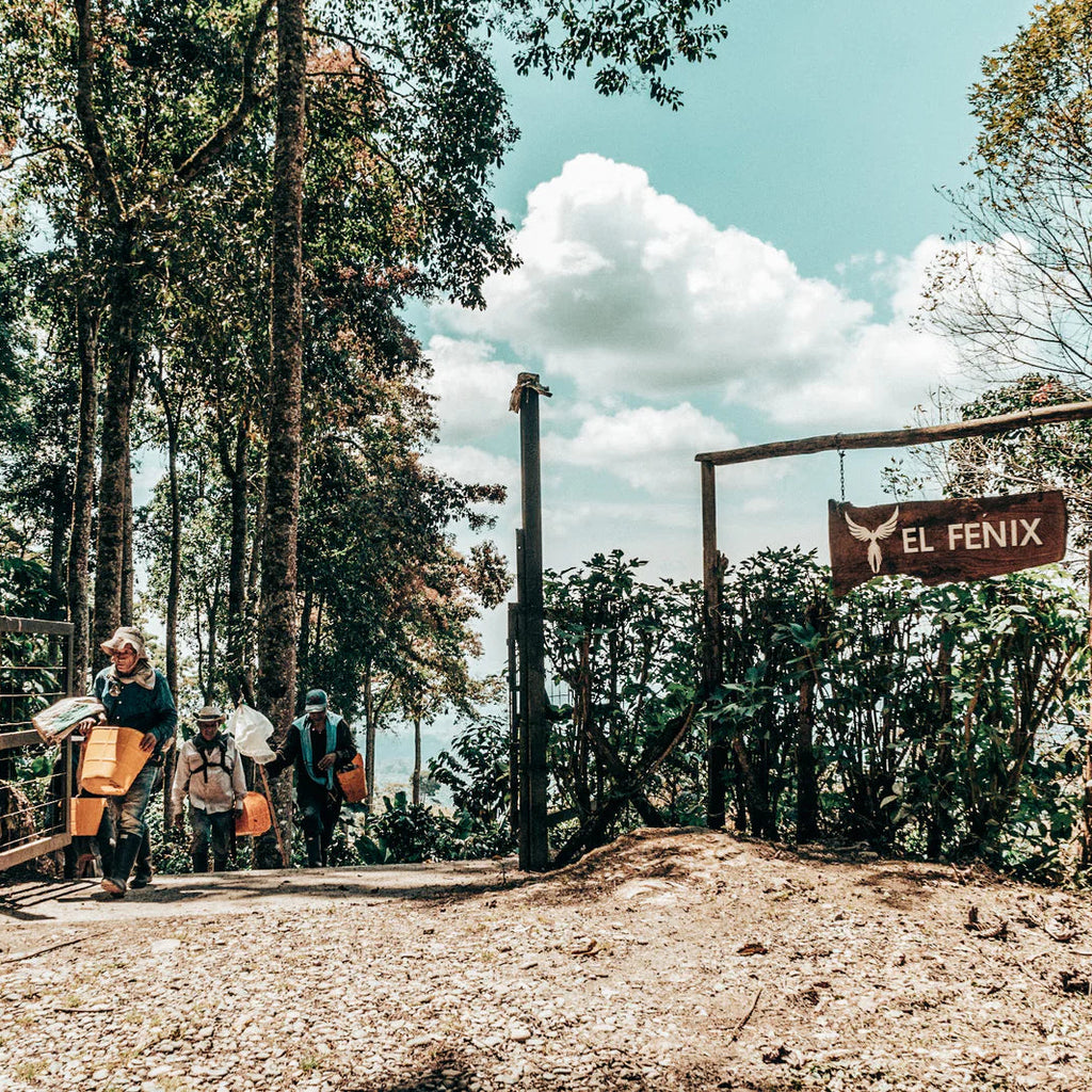 Group of people walking through a forested area with 'El Fenix' sign.