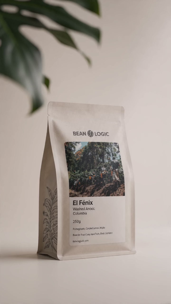 El Fénix Tabi Washed Anoxic | Colombia - 250g